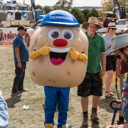 Chippy, the Thorpdale Potato Festival mascot