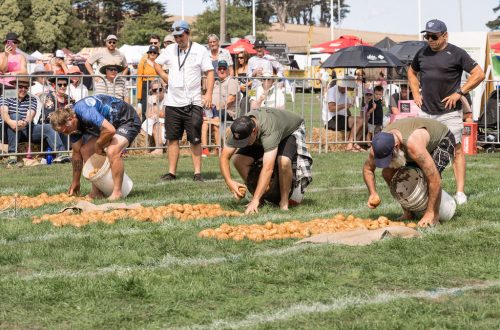 Participants in the 2025 picking events