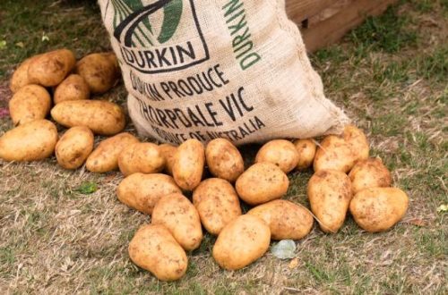 Potatoes scattered around a Durkin Produce spud bag