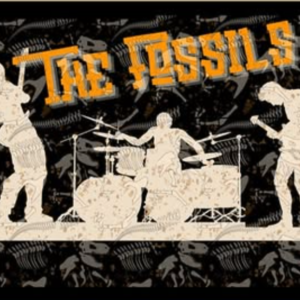 The Fossils