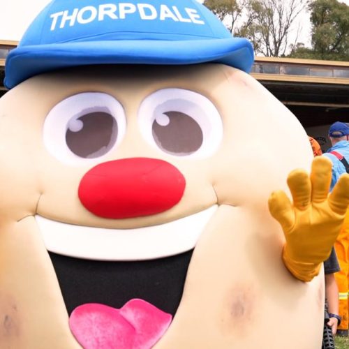 Thorpdale Potato Festival mascot playing with kids at the festival