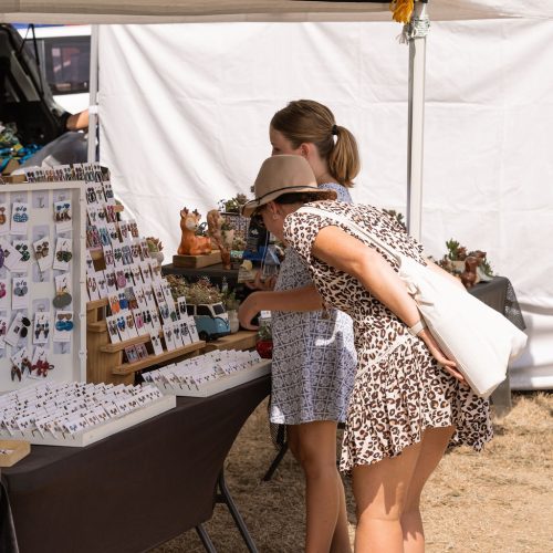 Visitors browsing market stalls at Thorpdale Potato Festival